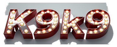 k9k9 logo